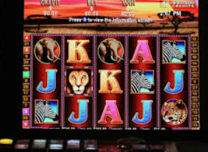 赏金国际vip登录入口最新版