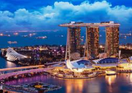 赏金国际vip登录入口手机版